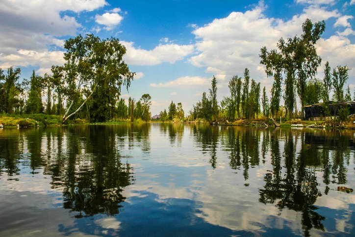 Pulido de Pisos en Xochimilco 1 xochimilco Reyes