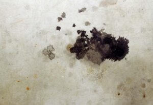 Eliminar manchas de aceite o grasa en pisos (4)